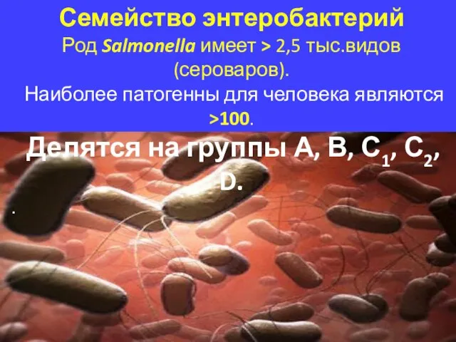 Семейство энтеробактерий Род Salmonella имеет > 2,5 тыс.видов (сероваров). Наиболее патогенны