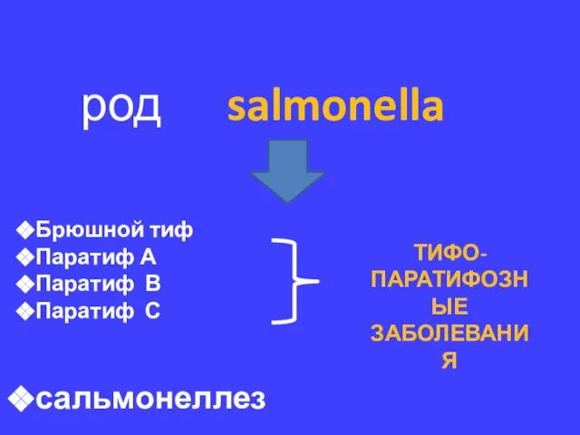 род salmonella Брюшной тиф Паратиф А Паратиф В Паратиф С сальмонеллез ТИФО-ПАРАТИФОЗНЫЕ ЗАБОЛЕВАНИЯ