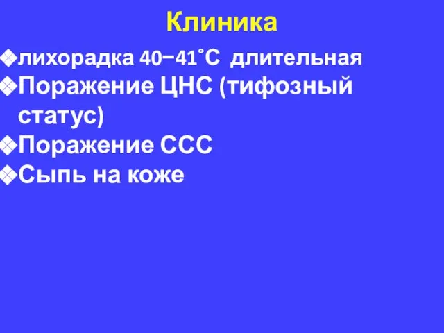 Клиника лихорадка 40−41˚С длительная Поражение ЦНС (тифозный статус) Поражение ССС Сыпь на коже