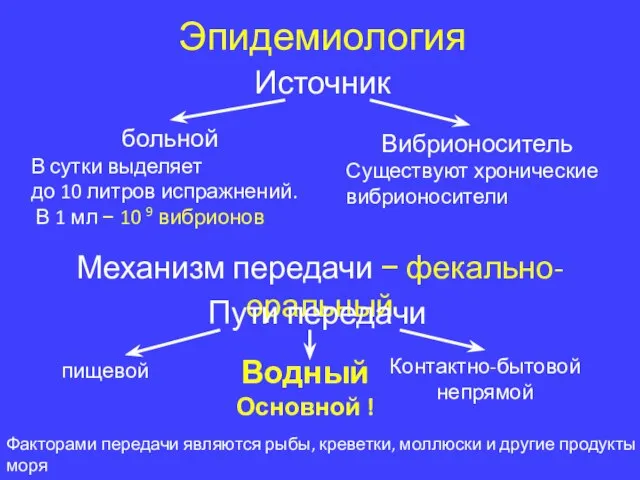 Эпидемиология Источник больной В сутки выделяет до 10 литров испражнений. В