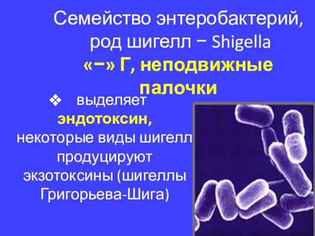 Семейство энтеробактерий, род шигелл − Shigella «−» Г, неподвижные палочки выделяет