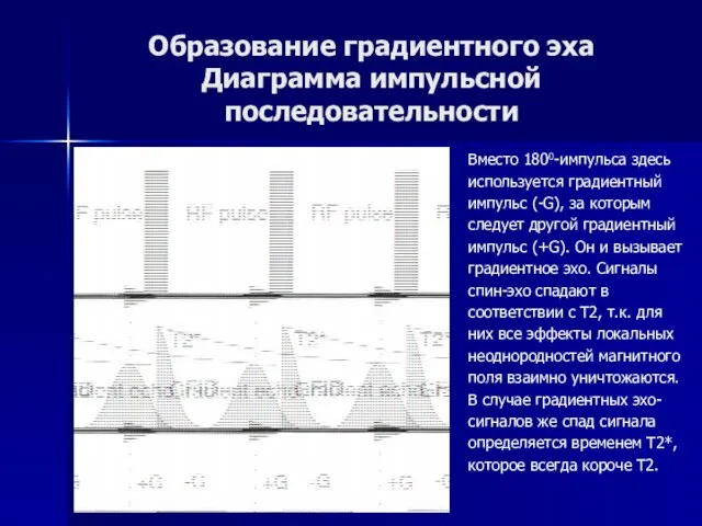 Образование градиентного эха Диаграмма импульсной последовательности Вместо 1800-импульса здесь используется градиентный