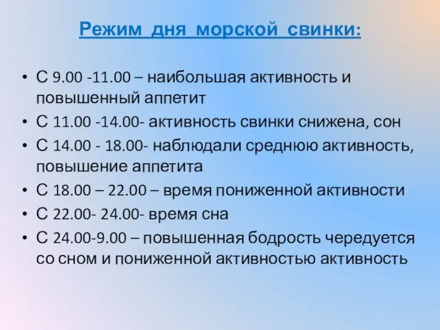 Режим дня морской свинки: С 9.00 -11.00 – наибольшая активность и