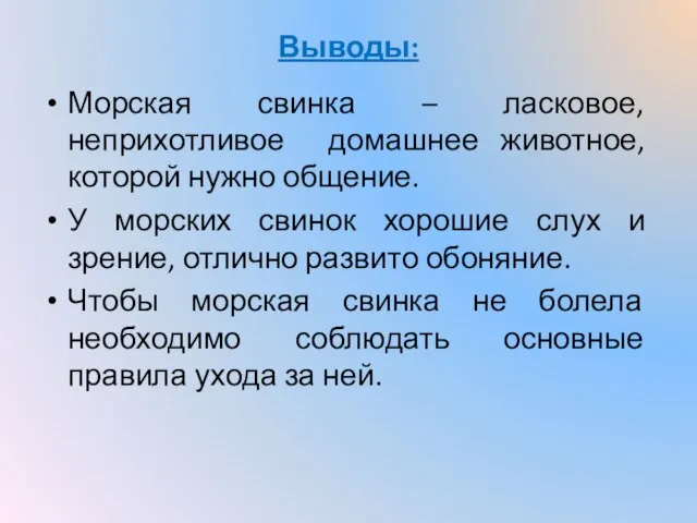 Выводы: Морская свинка – ласковое, неприхотливое домашнее животное, которой нужно общение.