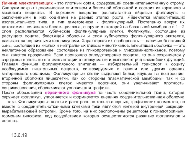 13.6.19 Яичник млекопитающих - это плотный орган, содержащий соединительнотканную строму. Снаружи