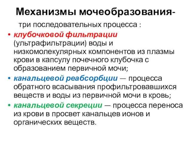 Механизмы мочеобразования- три последовательных процесса : клубочковой фильтрации (ультрафильтрации) воды и