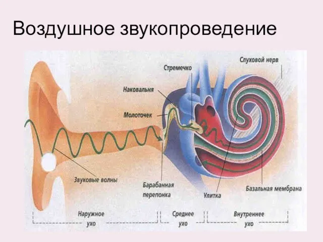 Воздушное звукопроведение