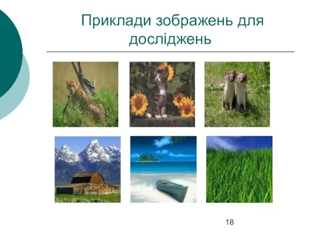 Приклади зображень для досліджень