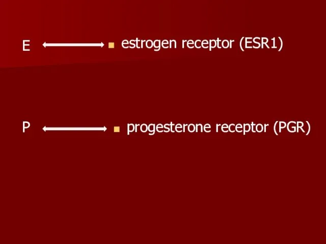 estrogen receptor (ESR1) progesterone receptor (PGR) Е Р