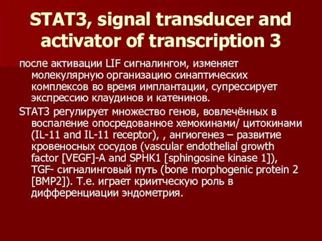 STAT3, signal transducer and activator of transcription 3 после активации LIF