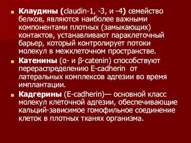 Клаудины (claudin-1, -3, и -4) семейство белков, являются наиболее важными компонентами