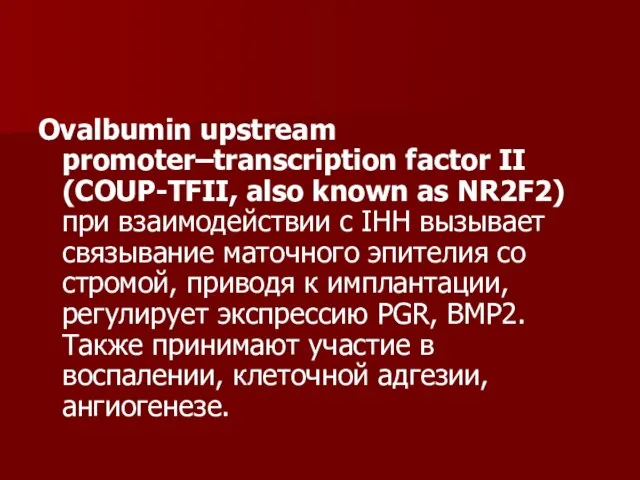 Оvalbumin upstream promoter–transcription factor II (COUP-TFII, also known as NR2F2) при