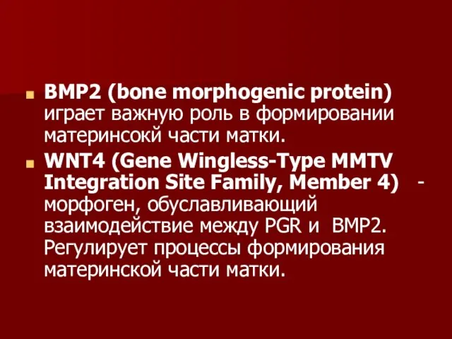 BMP2 (bone morphogenic protein) играет важную роль в формировании материнсокй части