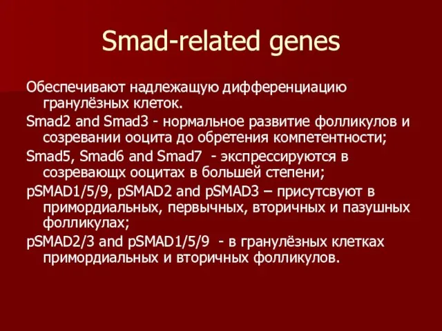 Smad-related genes Обеспечивают надлежащую дифференциацию гранулёзных клеток. Smad2 and Smad3 -