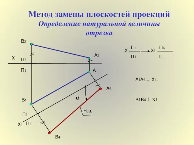 Метод замены плоскостей проекций Определение натуральной величины отрезка А1А4⊥ Х1; Х1