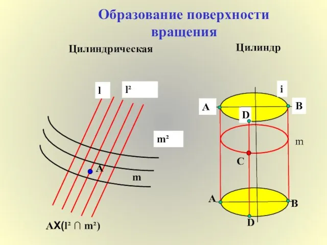 Образование поверхности вращения Цилиндрическая l m A l² m² ΑX(l² ∩