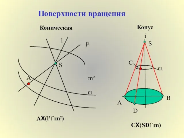 Поверхности вращения Коническая S l m m² l² Α ΑX(l²∩m²) Конус