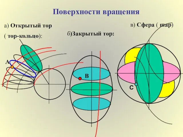 Поверхности вращения а) Открытый тор ( тор-кольцо): б)Закрытый тор: А В в) Сфера ( шар) С