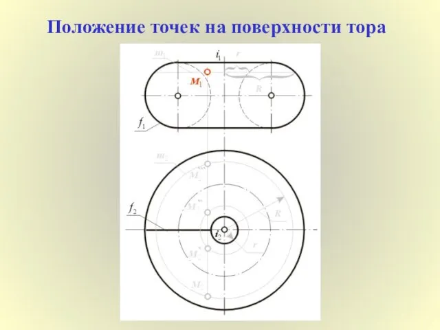 Положение точек на поверхности тора