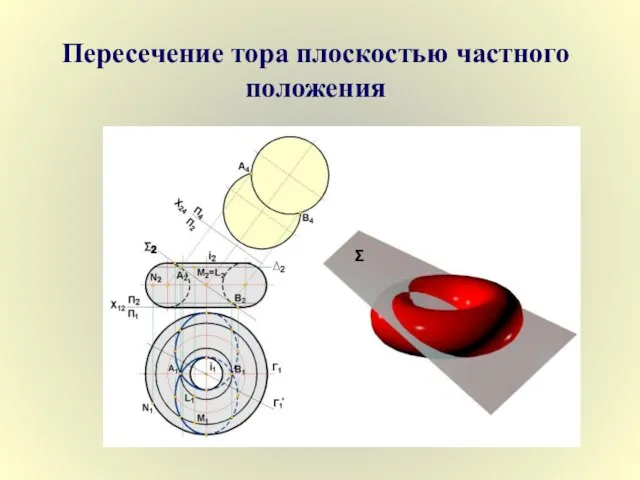 Пересечение тора плоскостью частного положения Σ