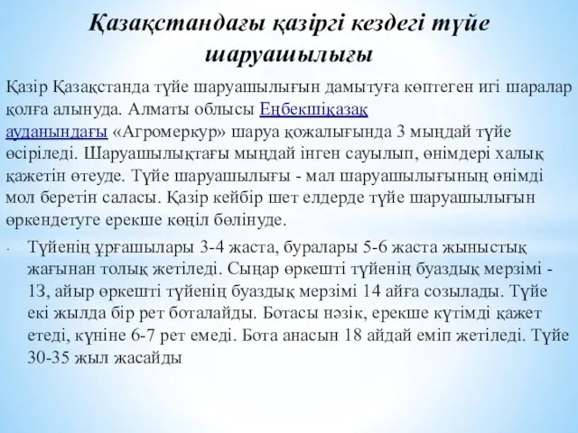 Қазақстандағы қазіргі кездегі түйе шаруашылығы Қазір Қазақстанда түйе шаруашылығын дамытуға көптеген