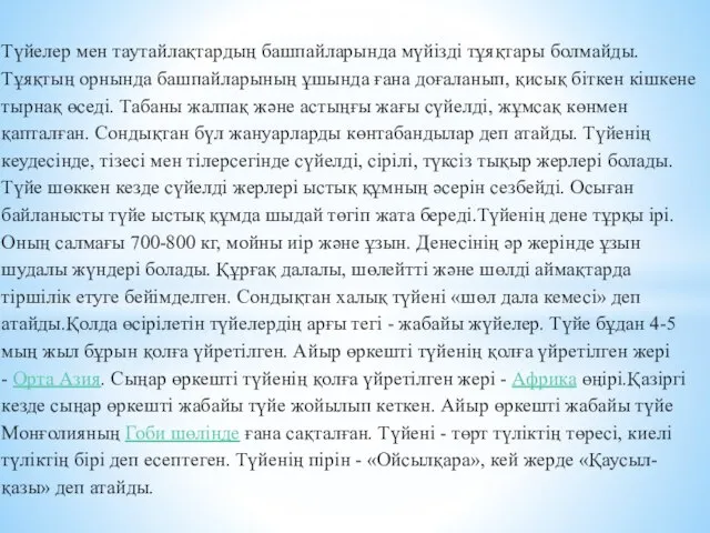 Түйелер мен таутайлақтардың башпайларында мүйізді тұяқтары болмайды. Тұяқтың орнында башпайларының ұшында