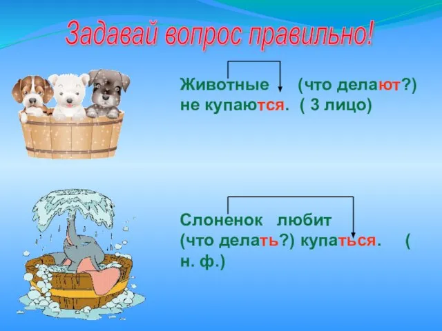 Животные (что делают?) не купаются. ( 3 лицо) Слоненок любит (что