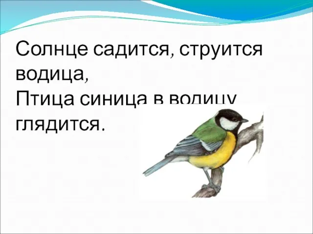 Солнце садится, струится водица, Птица синица в водицу глядится.