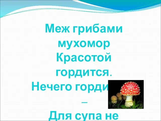 Меж грибами мухомор Красотой гордится. Нечего гордиться – Для супа не годится.