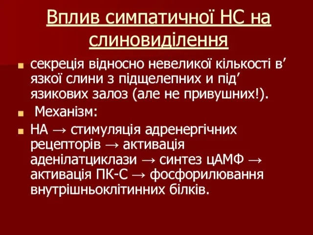 Вплив симпатичної НС на слиновиділення секреція відносно невеликої кількості в’язкої слини