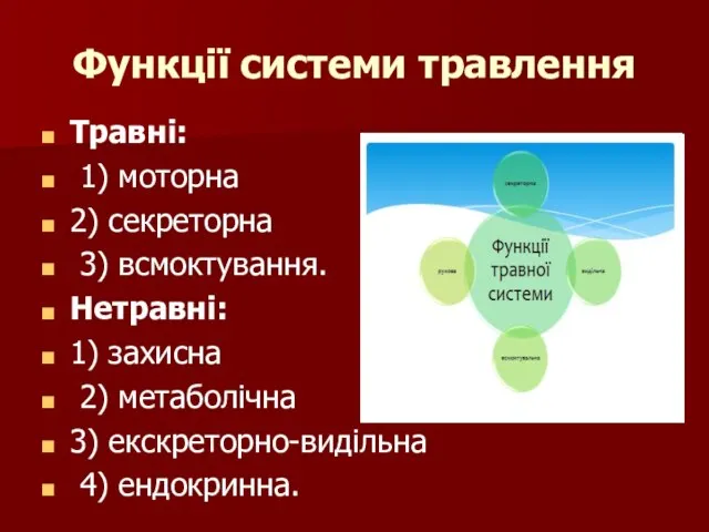 Функції системи травлення Травні: 1) моторна 2) секреторна 3) всмоктування. Нетравні: