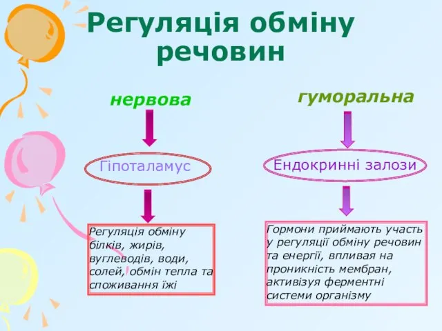 Регуляція обміну речовин нервова гуморальна Гіпоталамус Регуляція обміну білків, жирів, вуглеводів,