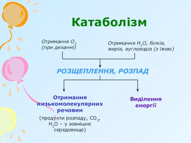 Катаболізм Отримання О2 (при диханні) Отримання Н2О, білків, жирів, вуглеводів (з