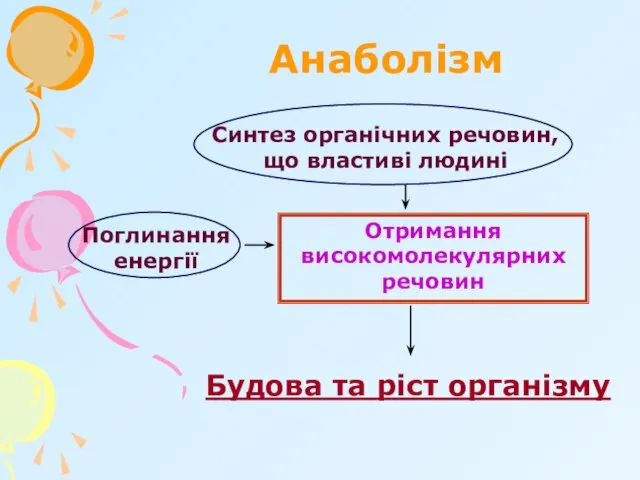 Анаболізм Синтез органічних речовин, що властиві людині Отримання високомолекулярних речовин Будова та ріст організму Поглинання енергії