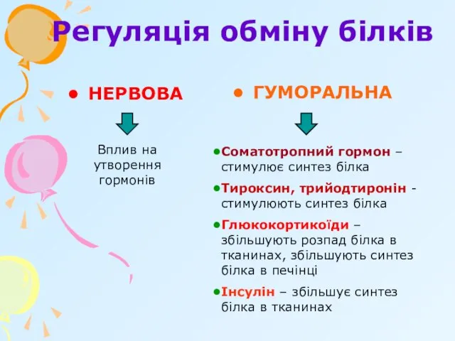 Регуляція обміну білків НЕРВОВА ГУМОРАЛЬНА Вплив на утворення гормонів Соматотропний гормон