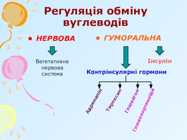 Регуляція обміну вуглеводів НЕРВОВА ГУМОРАЛЬНА Вегетативна нервова система Інсулін Контрінсулярні гормони Адреналін Глюкокортикоїди Глюкагон Тироксин