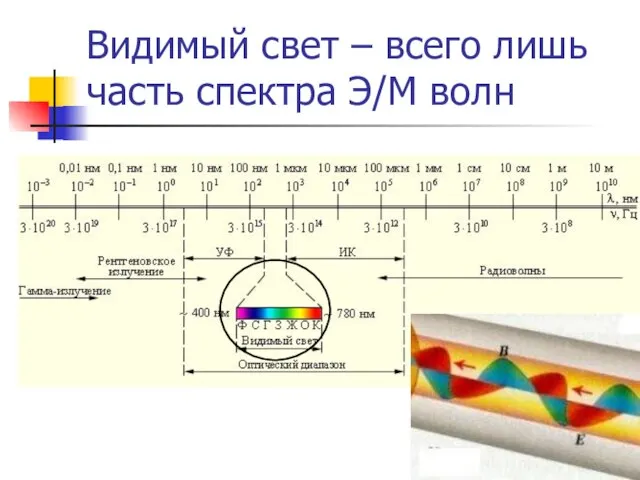 Видимый свет – всего лишь часть спектра Э/М волн