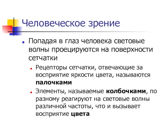 Человеческое зрение Попадая в глаз человека световые волны проецируются на поверхности