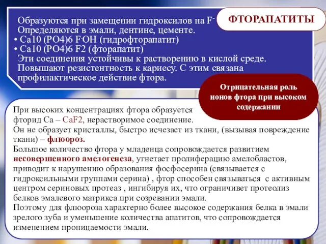 Образуются при замещении гидроксилов на F- Определяются в эмали, дентине, цементе.