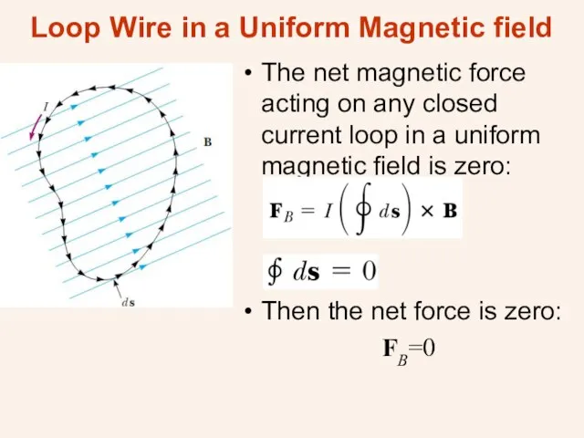 Loop Wire in a Uniform Magnetic field The net magnetic force