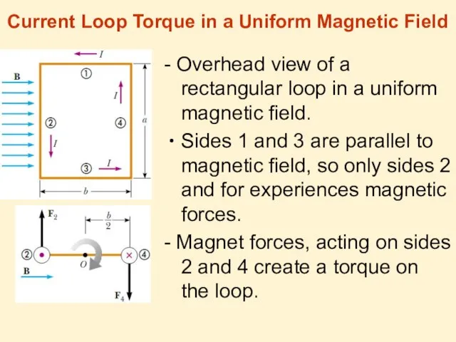 Current Loop Torque in a Uniform Magnetic Field - Overhead view