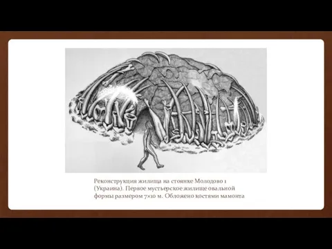 Реконструкция жилища на стоянке Молодово 1 (Украина). Первое мустьерское жилище овальной