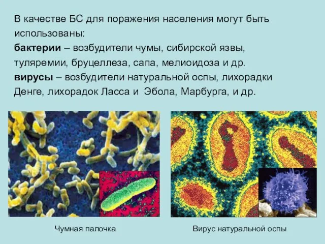 В качестве БС для поражения населения могут быть использованы: бактерии –