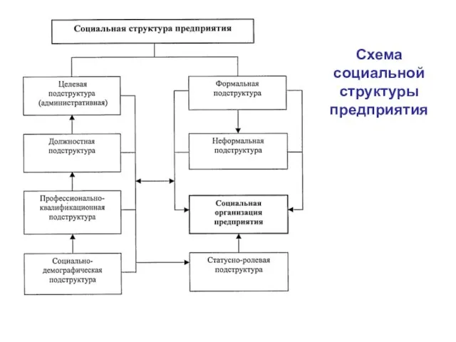 Схема социальной структуры предприятия