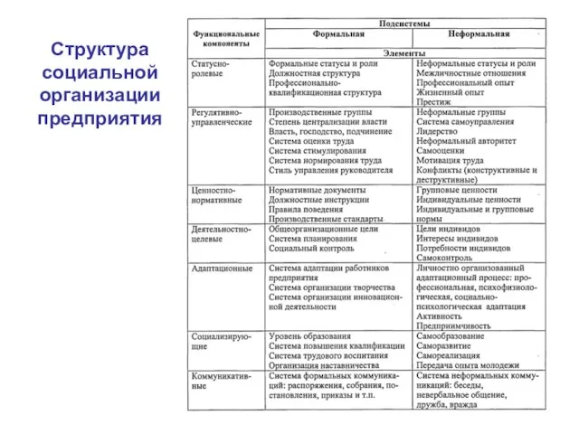 Структура социальной организации предприятия