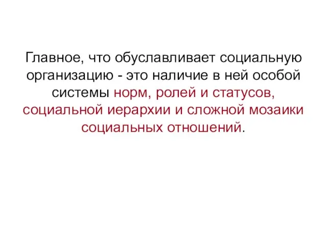 Главное, что обуславливает социальную организацию - это наличие в ней особой