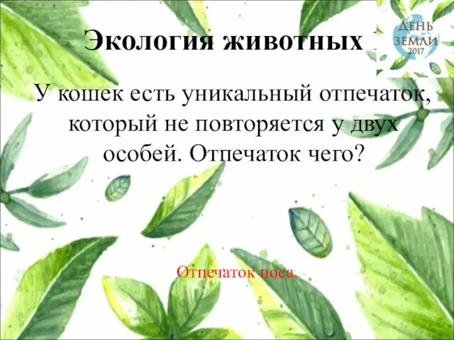 Экология животных 1 У кошек есть уникальный отпечаток, который не повторяется