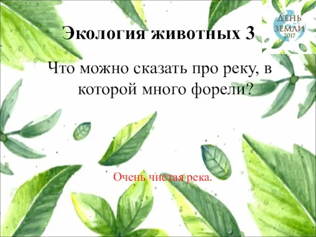 Экология животных 3 Что можно сказать про реку, в которой много форели? Очень чистая река.