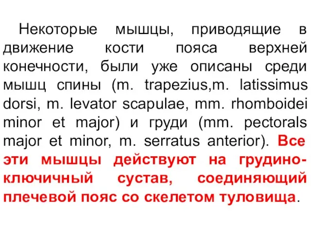 Некоторые мышцы, приводящие в движение кости пояса верхней конечности, были уже