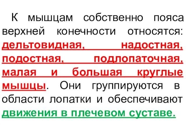 К мышцам собственно пояса верхней конечности относятся: дельтовидная, надостная, подостная, подлопаточная,